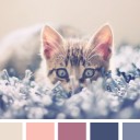 สมาชิกหมายเลข 1208493