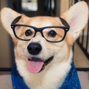 เหม่งน้อย