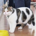 สมาชิกหมายเลข 2716671