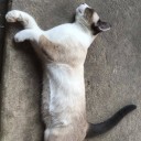 สมาชิกหมายเลข 3276741