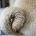 สมาชิกหมายเลข 1204234