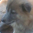 สมาชิกหมายเลข 839225