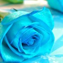 สมาชิกหมายเลข 794713