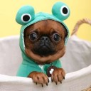 สมาชิกหมายเลข 2054686