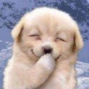 สมาชิกหมายเลข 1121523