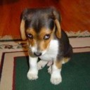 สมาชิกหมายเลข 2443805