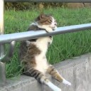 สมาชิกหมายเลข 2444008