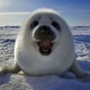 สมาชิกหมายเลข 2138693