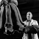 อุลตร้าซอรัส