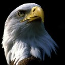 สมาชิกหมายเลข 923982