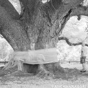 สมาชิกหมายเลข 2843418