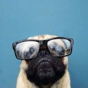 สมาชิกหมายเลข 3219482