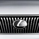 น้องหมูอ้วนของพี่หมีขั้วโลก