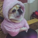 สมาชิกหมายเลข 972640