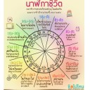 สมาชิกหมายเลข 1775623