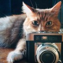 สมาชิกหมายเลข 1115778