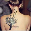 สมาชิกหมายเลข 2844177