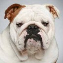 สมาชิกหมายเลข 2836935