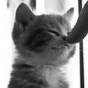 สมาชิกหมายเลข 813371