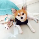 สมาชิกหมายเลข 1629926