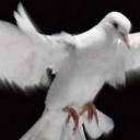 สมาชิกหมายเลข 2056026