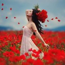 beauty of rose Butterfly