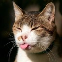 สมาชิกหมายเลข 3230602