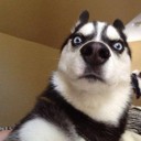 สมาชิกหมายเลข 3278863