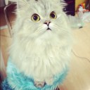 ce crayon
