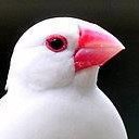 สมาชิกหมายเลข 813475