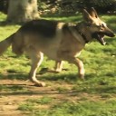 สมาชิกหมายเลข 813519