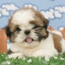 สมาชิกหมายเลข 736694