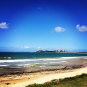 สมาชิกหมายเลข 1355475