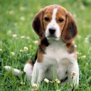 สมาชิกหมายเลข 2056821