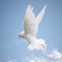 สมาชิกหมายเลข 2845176