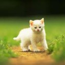 สมาชิกหมายเลข 742745