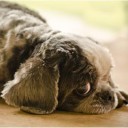 สมาชิกหมายเลข 749919