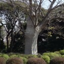 สมาชิกหมายเลข 813554