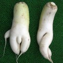 เทพผักกาด