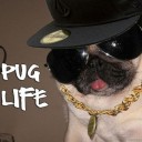 สมาชิกหมายเลข 1630738