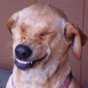 สมาชิกหมายเลข 819240