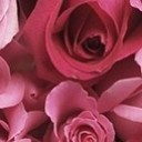 สมาชิกหมายเลข 1084946