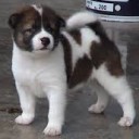 สมาชิกหมายเลข 2845416