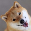 สมาชิกหมายเลข 3280157