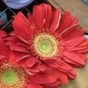 สมาชิกหมายเลข 1173165