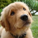 จ้างมาอวย