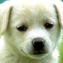 สมาชิกหมายเลข 2845719