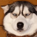 สมาชิกหมายเลข 3280781