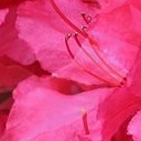 สมาชิกหมายเลข 730614