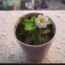 สมาชิกหมายเลข 814643